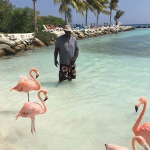 Meet your Posher, Roderick